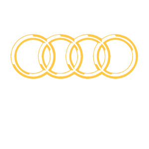  Audi logo
