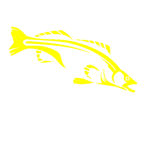       -   70 .