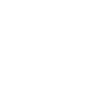      Minecraft -   96 .