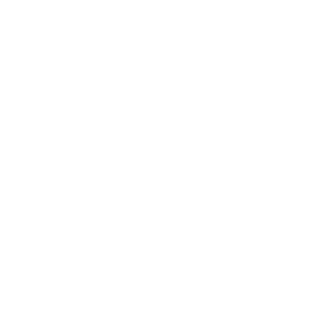      -   133 .