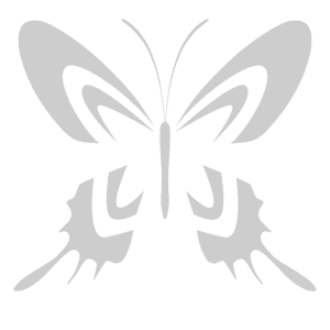 ����������� �� ����������� ������-����� �������� �������� - ������ �� 84 ���.