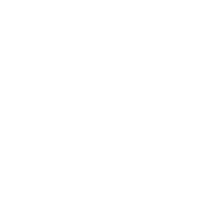  Lexus logo