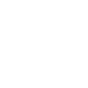        -   161 .