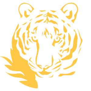        -   161 .