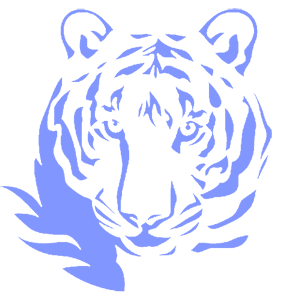        -   161 .