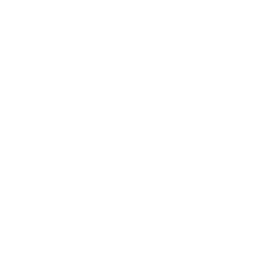       ... -   221 .