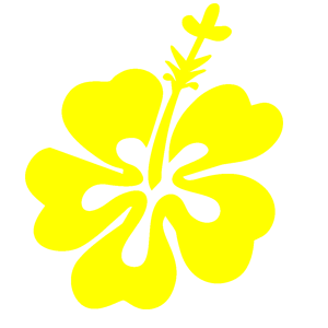 ����������� �� ����������� ������ �������� ������� - ������ �� 50 ���.