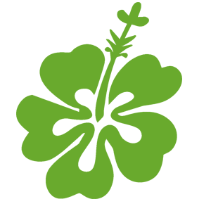 ����������� �� ����������� ������-������� �������� ������� - ������ �� 50 ���.