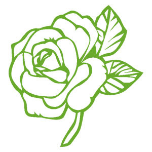 ����������� �� ����������� ������-������� �������� ������� ����� - ������ �� 133 ���.