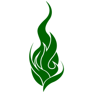        -   75 .