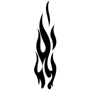        -   31 .