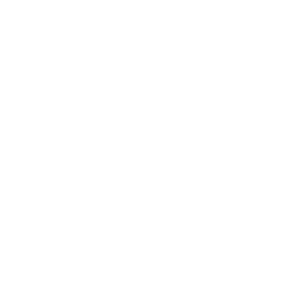        Ի -   161 .