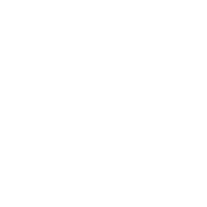        -   106 .