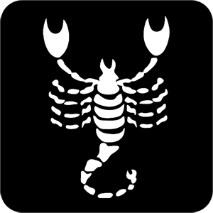       -   81 .