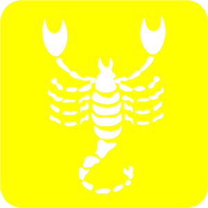       -   81 .