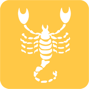       -   81 .