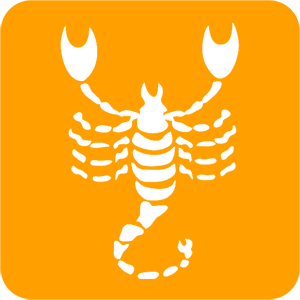       -   81 .