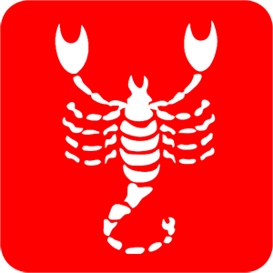      -   81 .