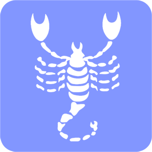       -   81 .