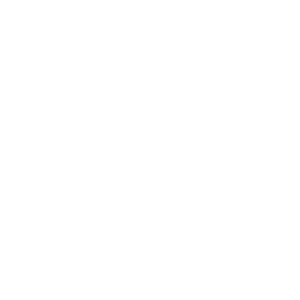        -   131 .