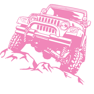      Jeep Wrangler -   264 .