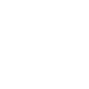      Jeep Wrangler -   264 .