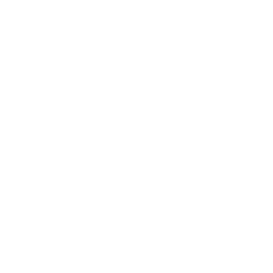      Army of Russia -   70 .