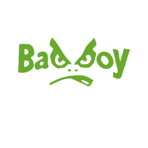 -  Bad Boy -   82 .