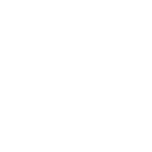      Lancia -   84 .