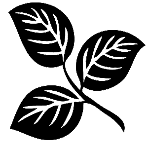      -   133 .