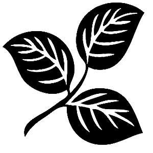         -   133 .