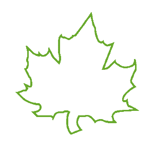 ����������� �� ����������� ������-������� �������� ��������� ���� - ������ �� 25 ���.