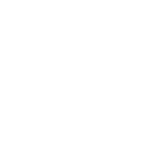     -   133 .