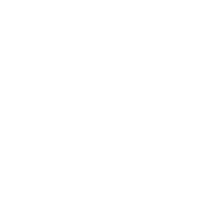        -   133 .