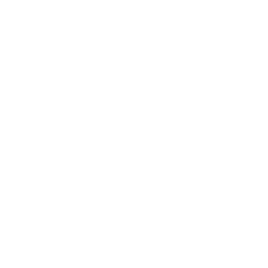      Mercedes Logo -   98 .