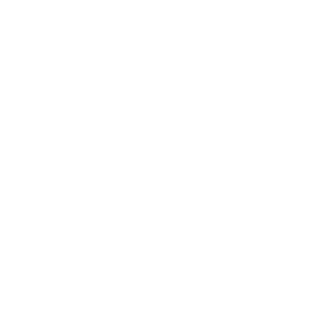   Opel logo -   24 .