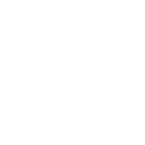      Opel logo -   24 .