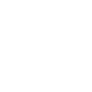     -   161 .
