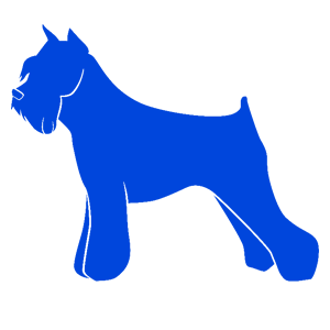 ����������� �� ����������� ����� �������� ������� - ������ �� 80 ���.