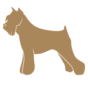 ����������� �� ����������� ������-���������� �������� ������� - ������ �� 80 ���.