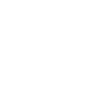        -   110 .