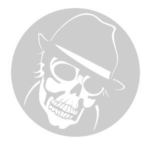 ����������� �� ����������� ������-����� �������� �Agent Skull� - ������ �� 133 ���.