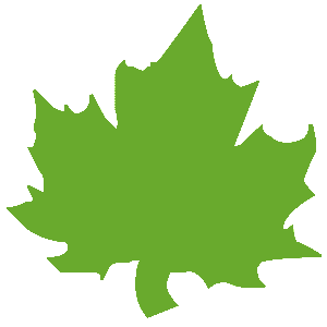 ����������� �� ����������� ������-������� �������� ��������� ���� - ������ �� 26 ���.