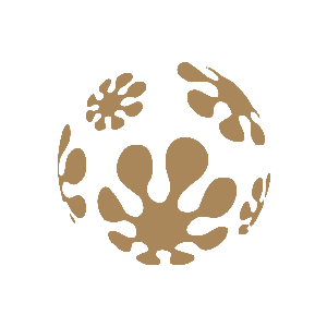 ����������� �� ����������� ������-���������� �������� ������ - ������ �� 84 ���.