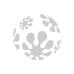 ����������� �� ����������� ������-����� �������� ������ - ������ �� 84 ���.