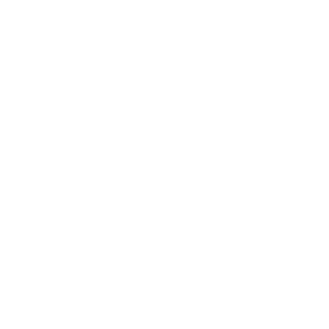      Aleko -   94 .