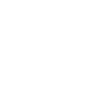    -   133 .