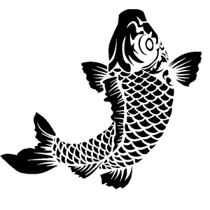       -   224 .