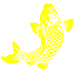       -   224 .