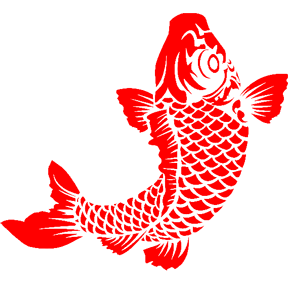       -   224 .